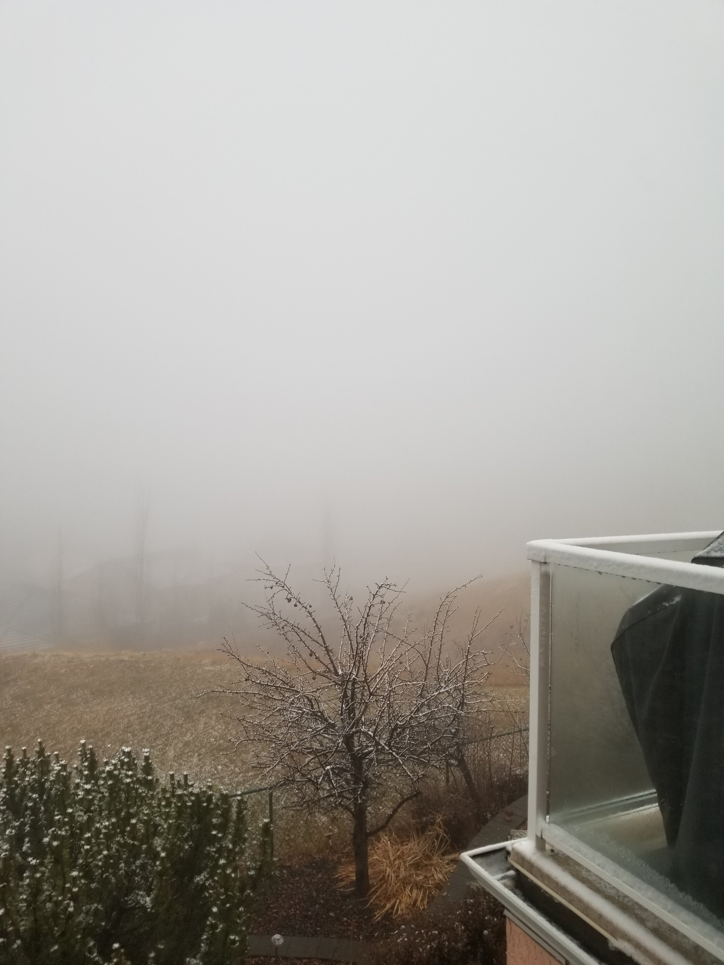 20211115_152406.jpg