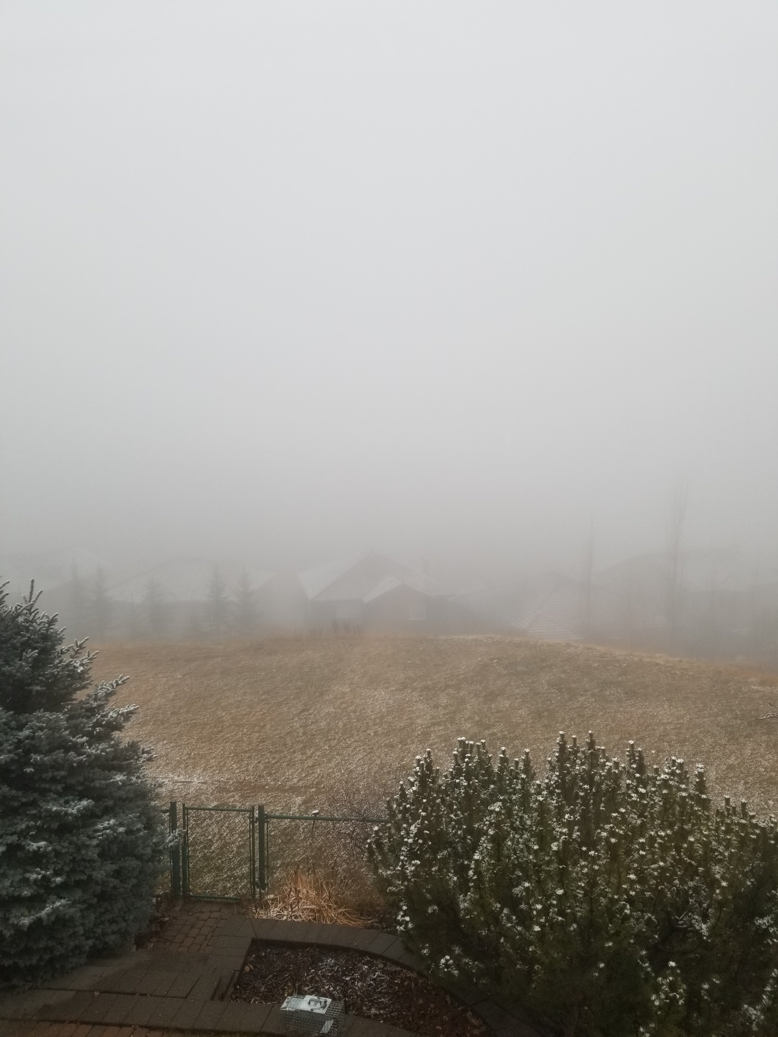 20211115_152409.jpg