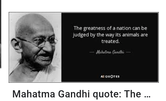 20220101_165134.png