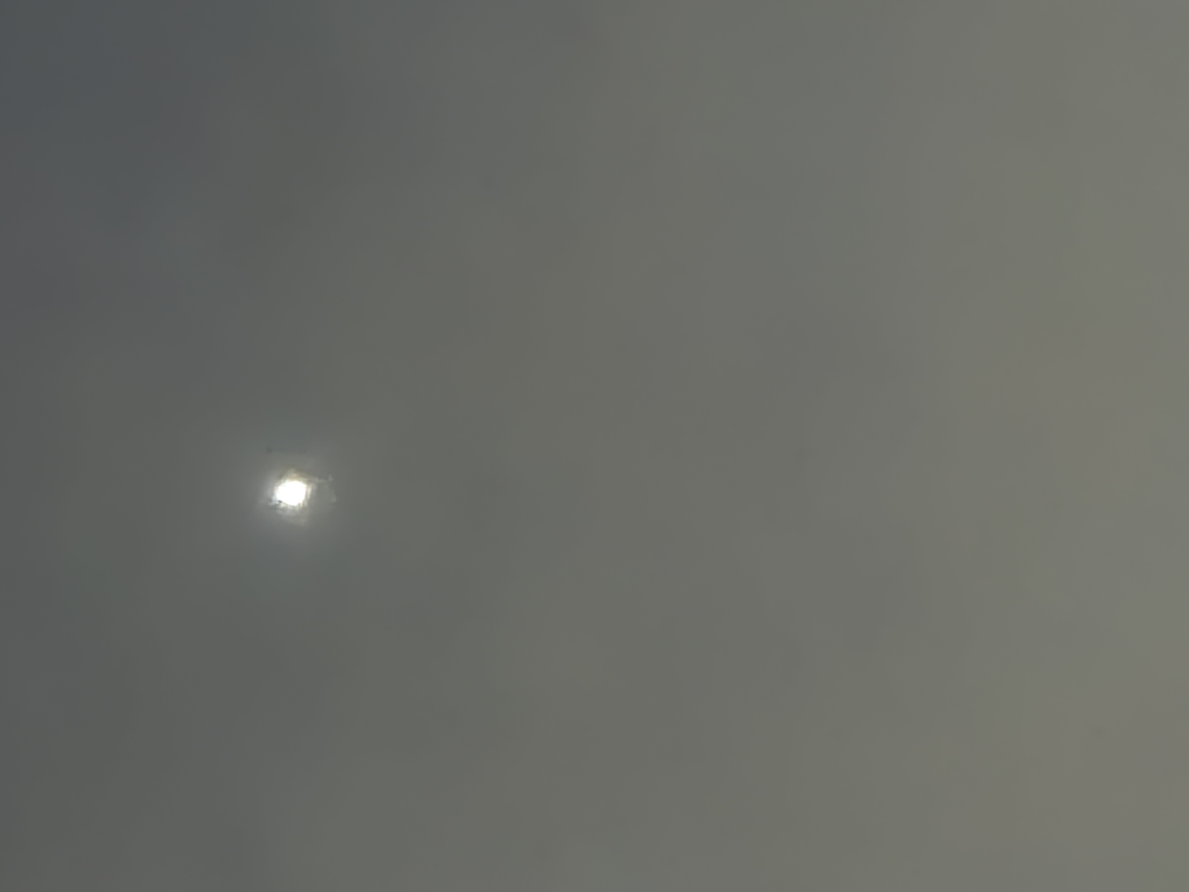 20250629_061053.jpg