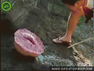 2ufhwNgM3qHKGxq8wdcWAiFpcm29FF1vQ7VZHkTuxDAcRYPze1Z87a6cpvPcZhLyF6AidbwXK.gif