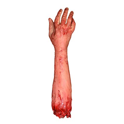 51MNmZyfn7L__SX425_.jpg