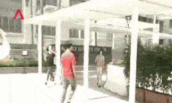 617494_v2.gif