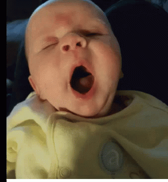 68C814A6-5B29-4FE9-B0FB-B8E3B900461A.gif