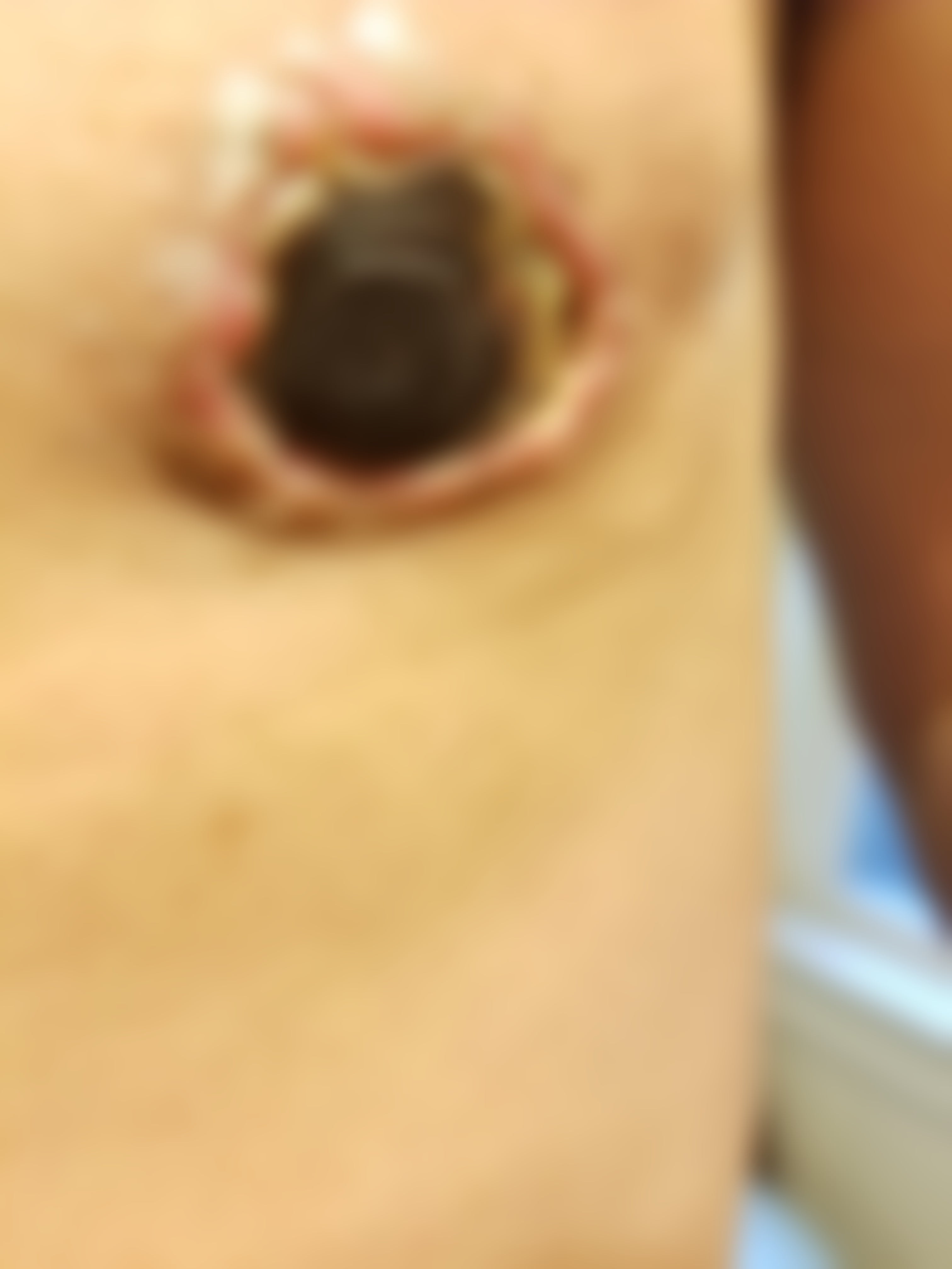 6bkrqi03m0411.jpg