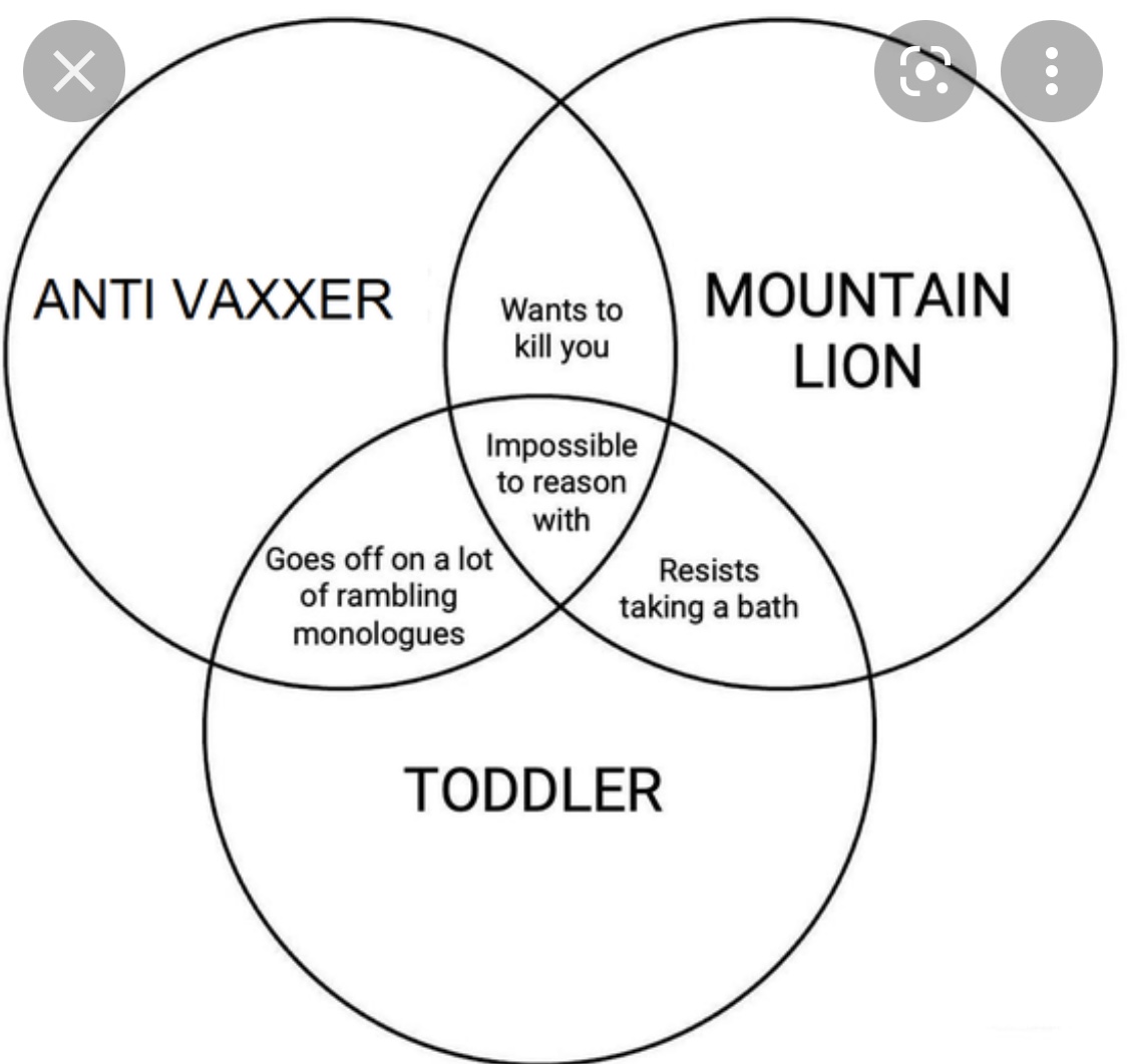 731F83A0-C248-4E09-B6F6-E989D20B211F.jpeg