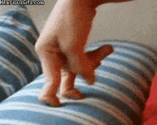 7F448FE3-A135-47C8-B4EA-77B83F161167.gif