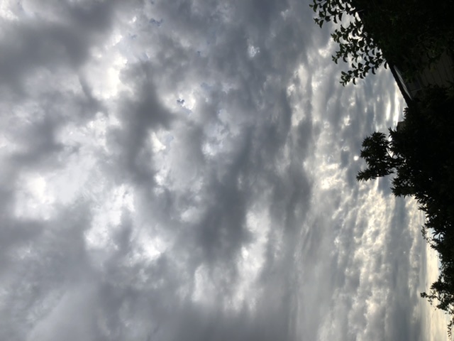 7FAC2171-87C0-472D-85E3-6D0DB23E48D5.jpeg