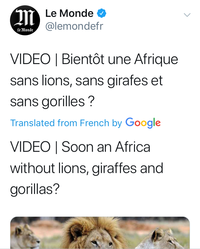 814E9571-2BDF-4494-AF59-22808C777FDD.jpeg