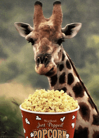 88B04C58-0179-44D5-8659-E415A6837BAC.gif