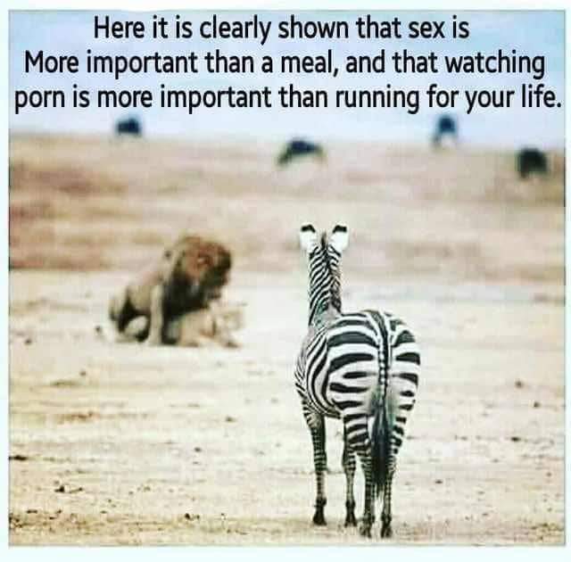 8BB6D432-AE96-4D34-B9EE-E6F0A9ECA8BC.jpeg