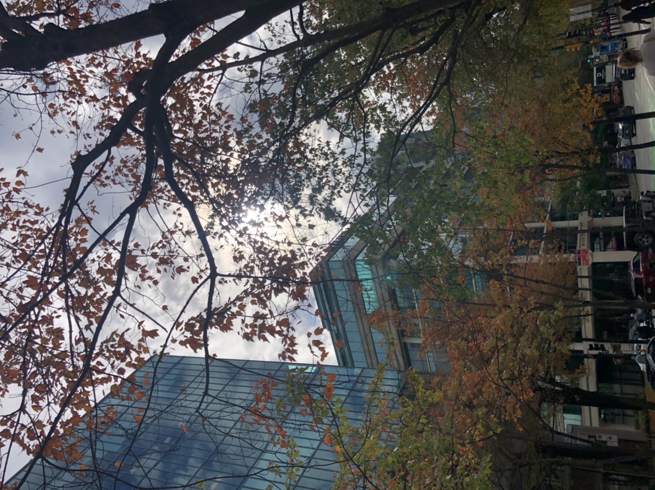 9EE21148-0936-40C6-A639-7408783162EF.jpeg