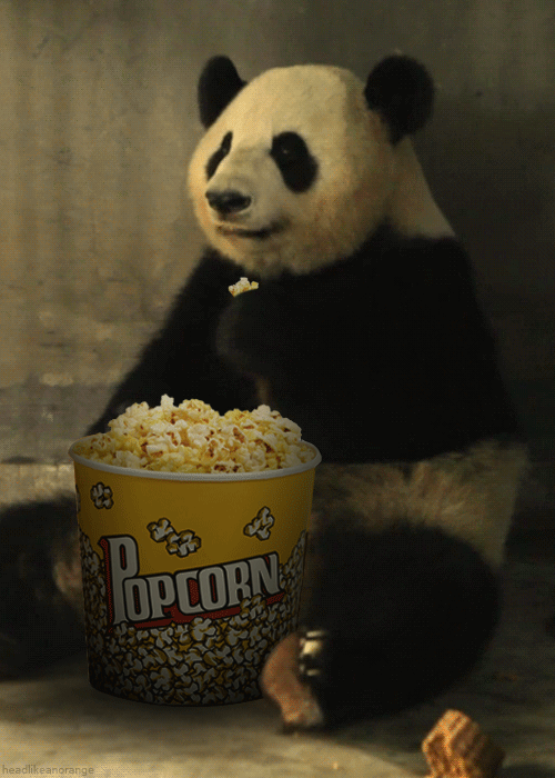 A2883C8E-7A64-447F-AB26-1C03BF743D1C.gif