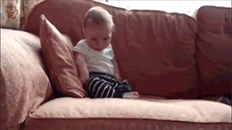 A32FD51B-44D0-4165-91CC-F97B7E43EA10.gif