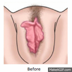 ad2e7e_e46345e311074e1f82a74367e1db280a-mv2.gif