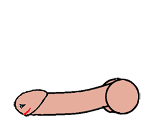 animated-dick-gif.gif