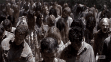 antiuribista-centro-democratico.gif