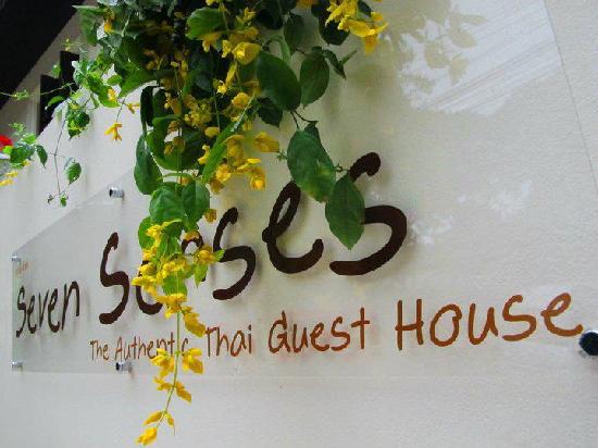 at-the-seven-senses-guest.jpg