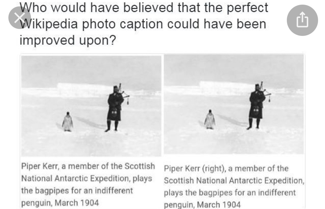 B043268B-D03B-4625-B140-1E2BE6441013.jpeg