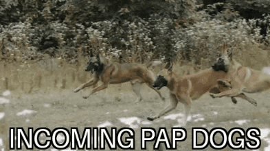 B36-D8887-417-D-4671-938-B-C440-CF885-D38.gif