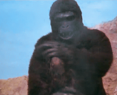 B9C34439-D643-4132-A0ED-CD7D95925A75.gif