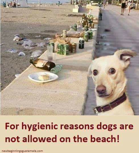 beach.jpg