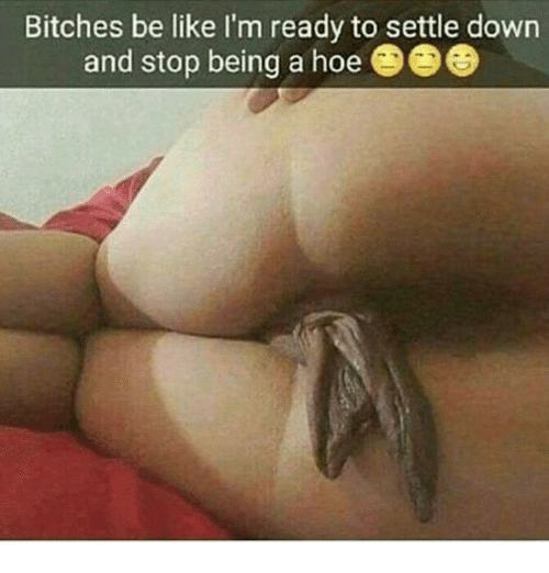 bitches-be-like-im-ready-to-settle-down-and-stop-9358266.png