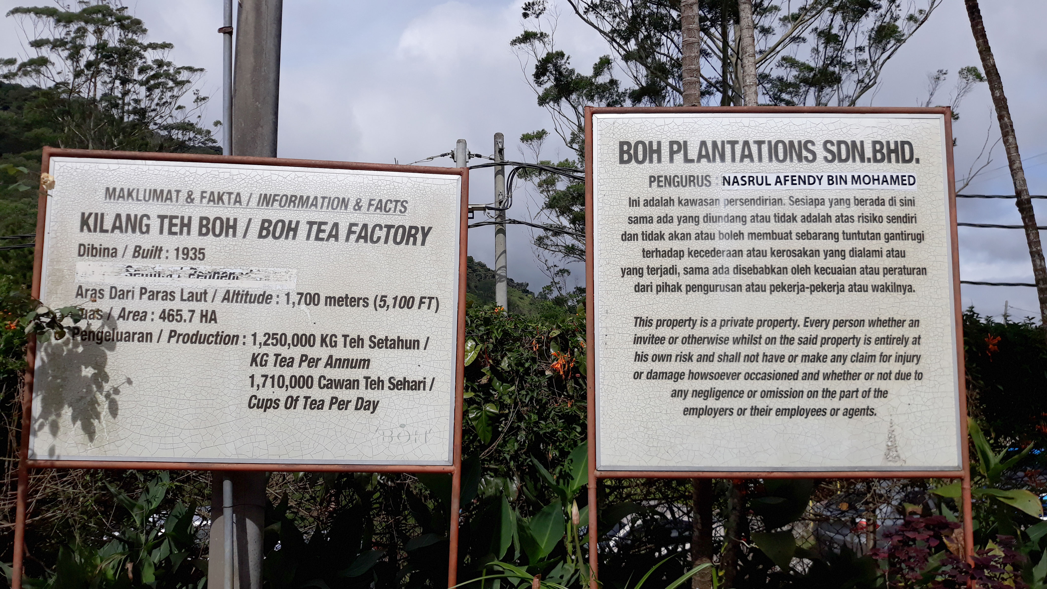BOH1.jpg