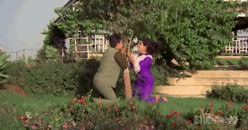 bollywood.gif