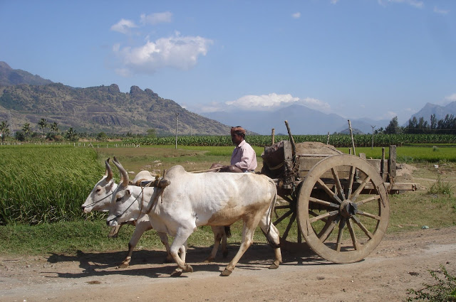 Bullock_cart_in_Tamil_Nadu.jpg