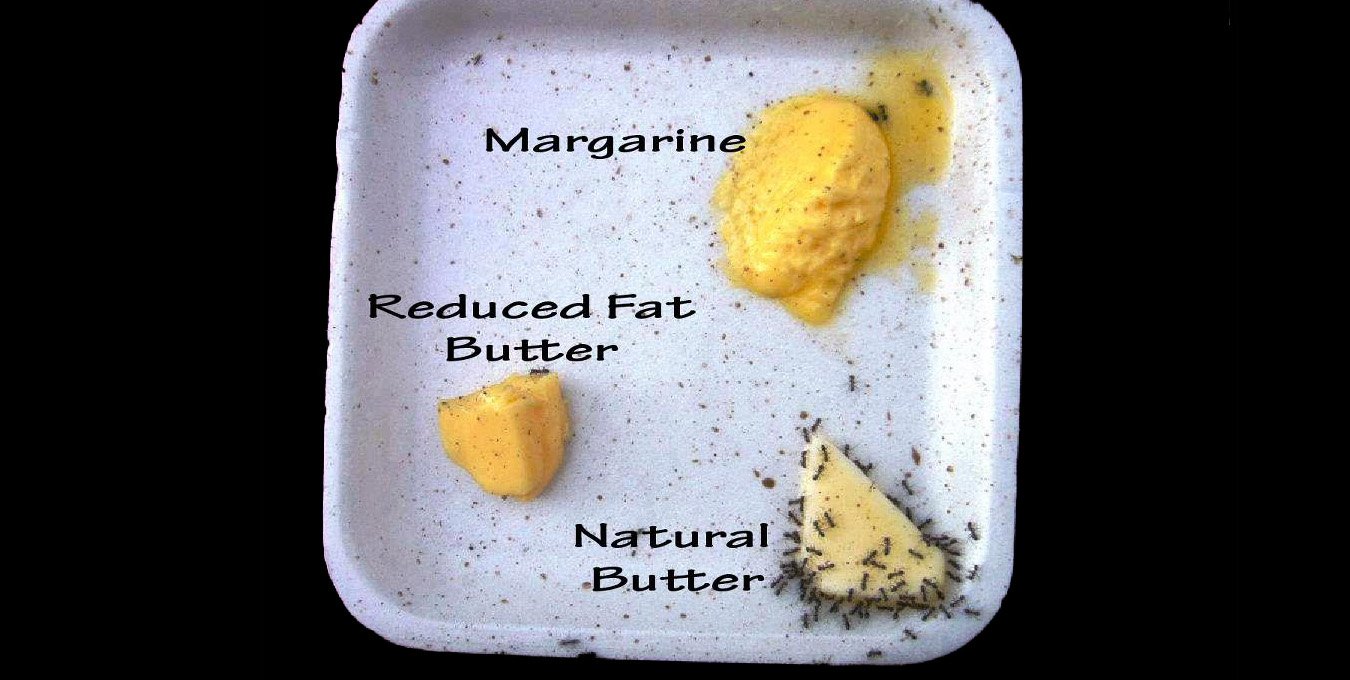Butter-margarine.jpg