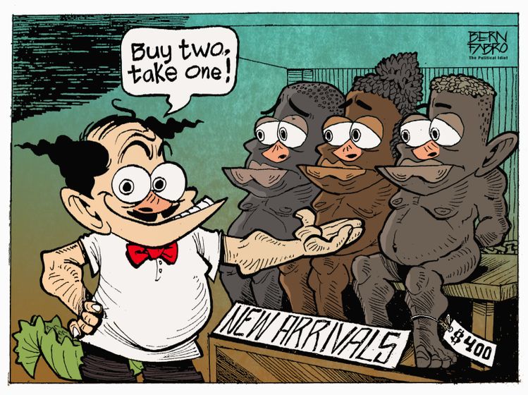 buy_one_take_one__bern_fabro.jpg