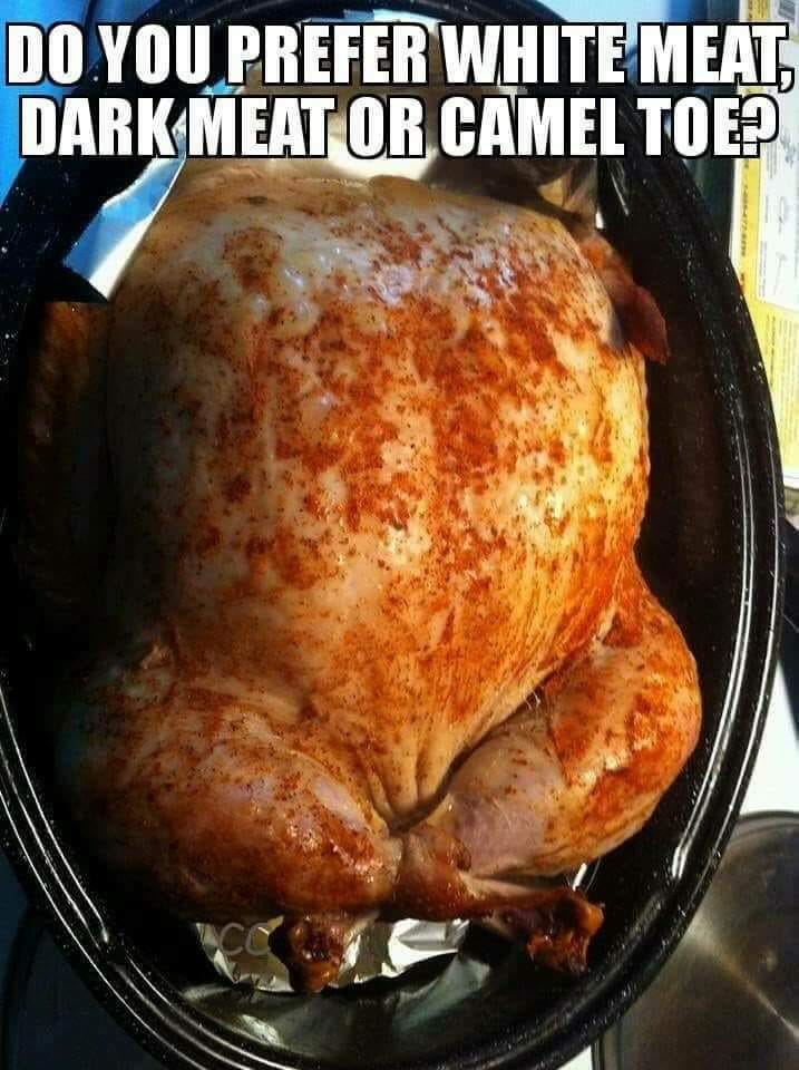 camel toe.jpg