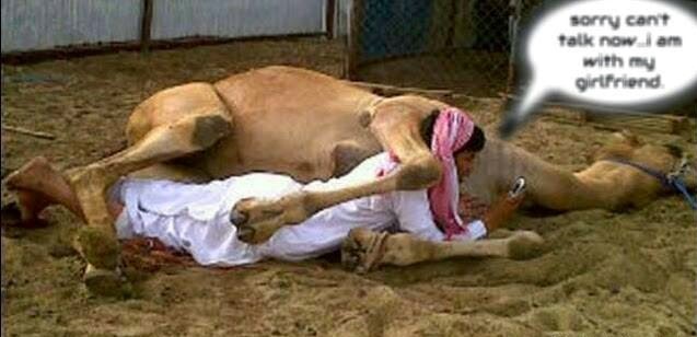 Camel_lover.JPG