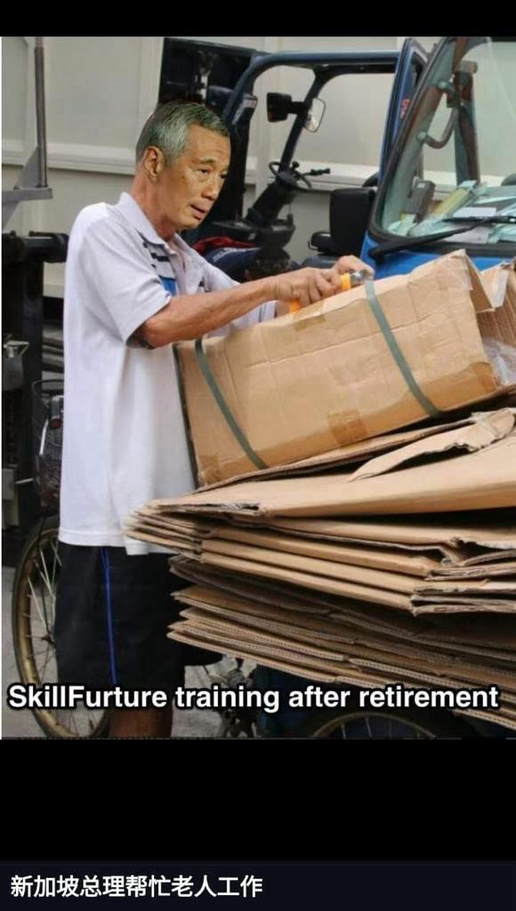 cardboard.jpg