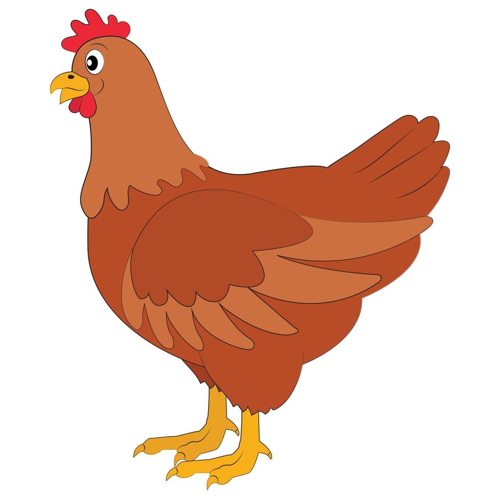 cartoon-chicken-on-white-background-hen-free-vector.jpg