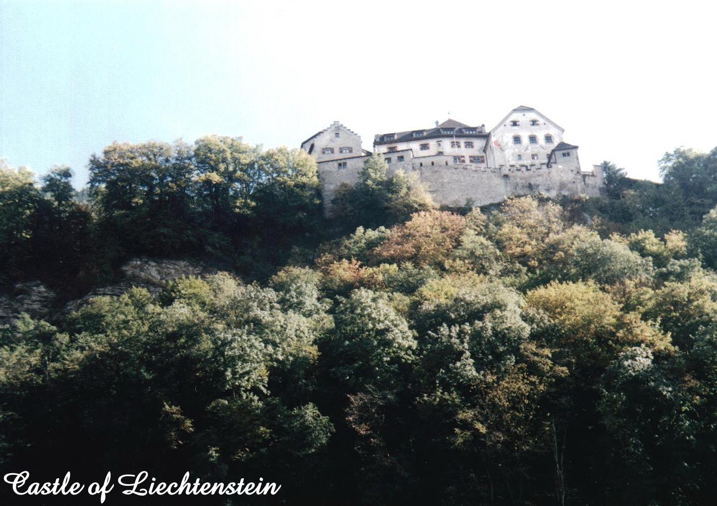 Castle Of Liechetenstein.jpg