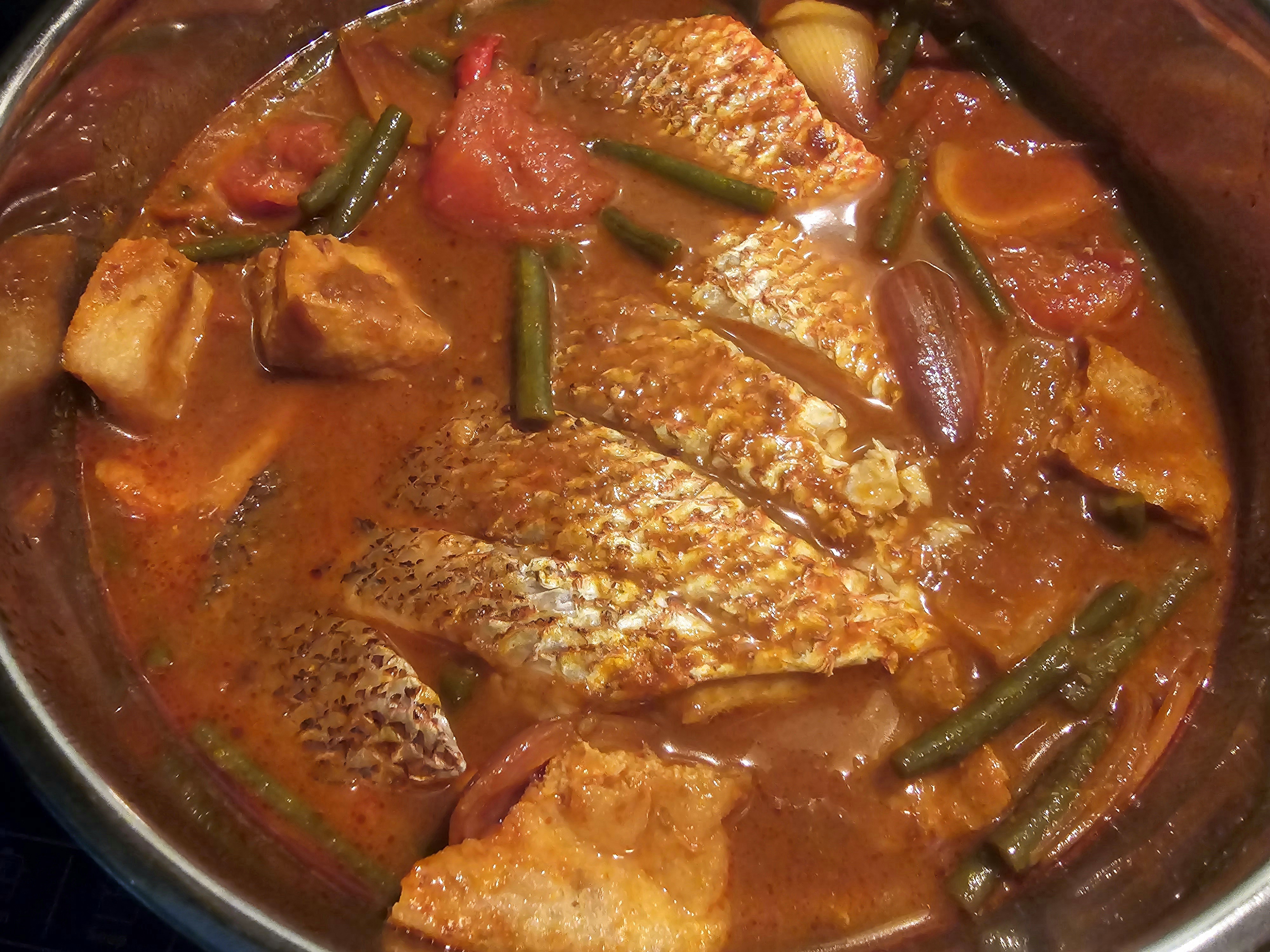 Cat curry fish.jpg