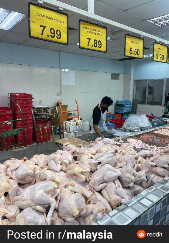 Chicken.jpg