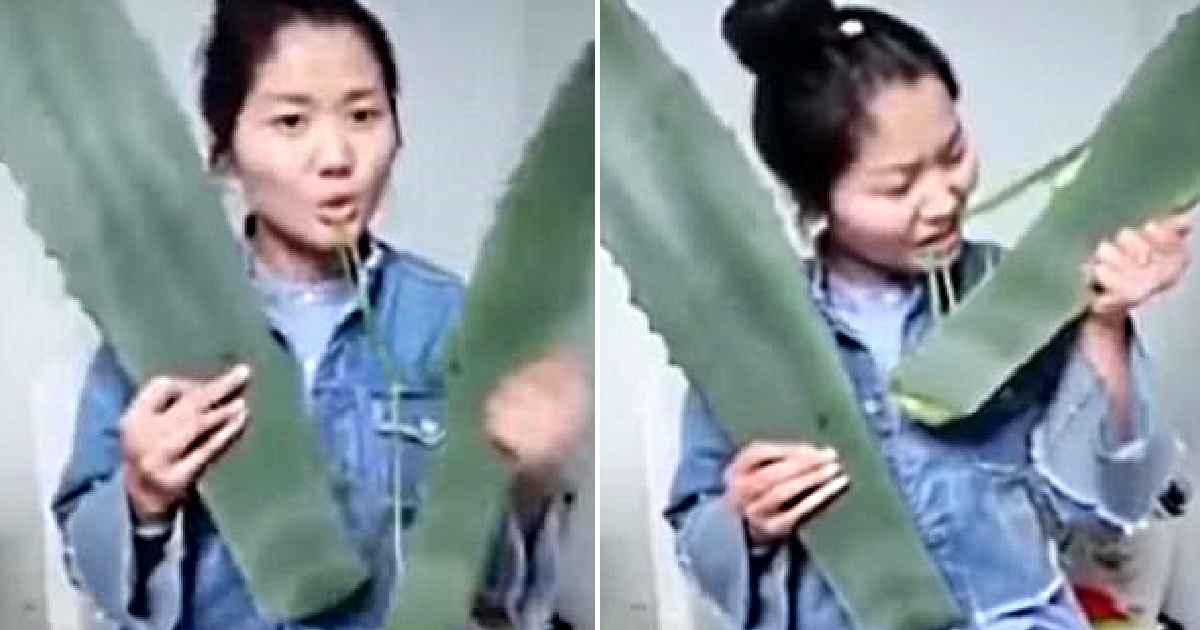 China_girl_vlogger-eats-poisonous-plant-featured.jpg