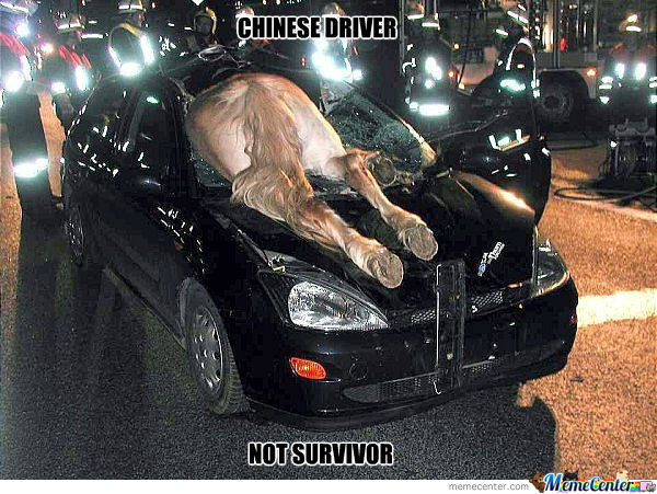 chinese-driver_o_922336.jpg