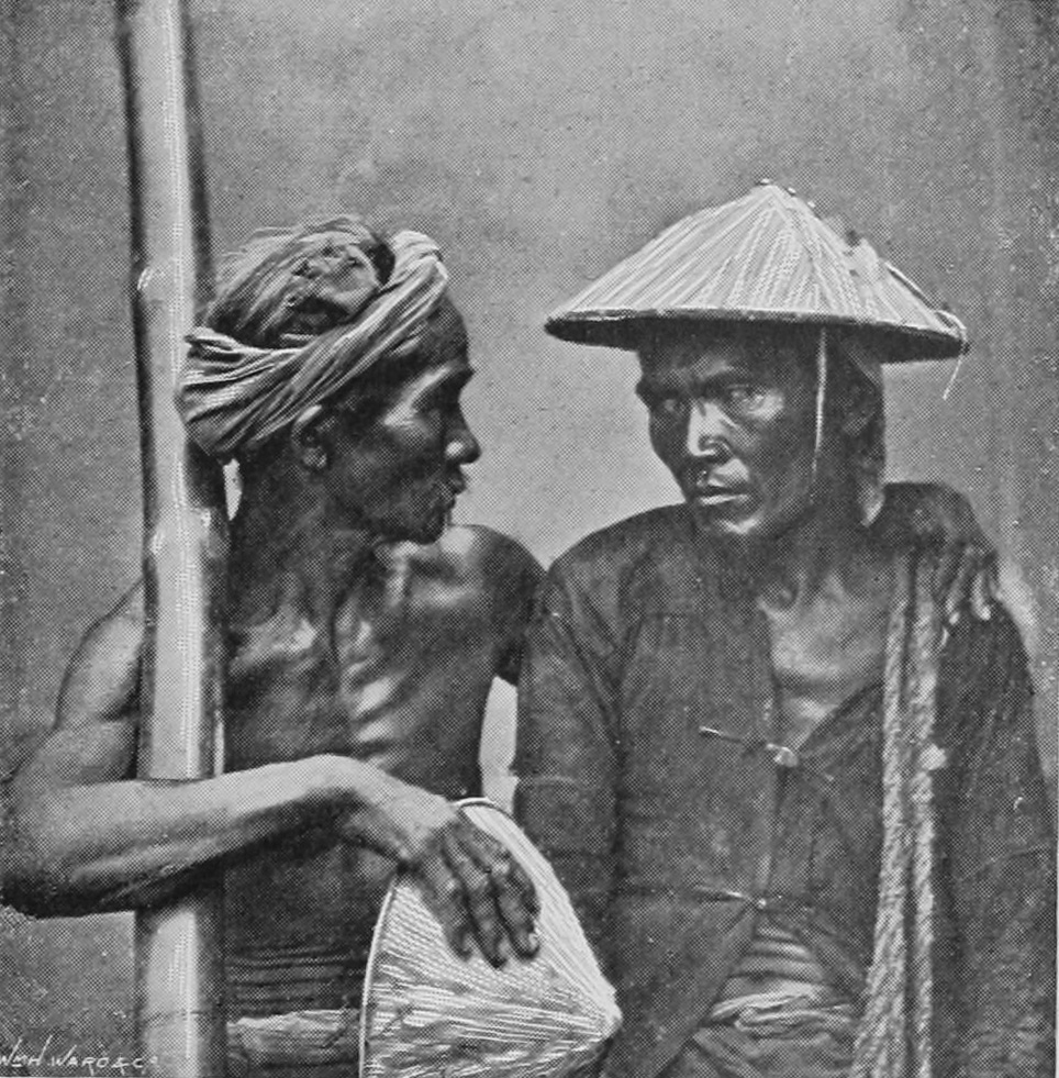 CHINESE_COOLIES.jpg