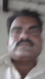 ClearWetAntarcticgiantpetrel-max-1mb.gif