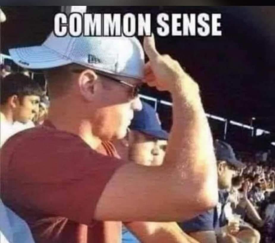 Commonsense.jpg