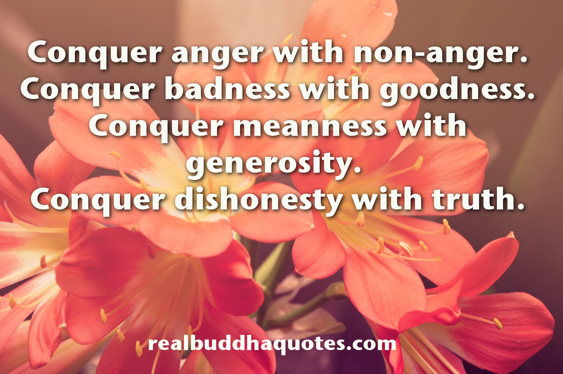 conquer-anger-with-non-anger.jpg