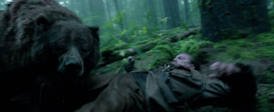 D5C49989-74C4-48B1-88FF-09C0220DB9FF.gif