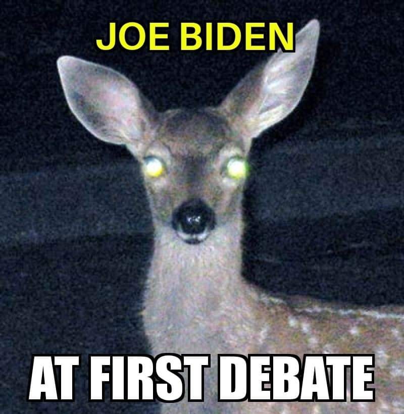 deer.jpg