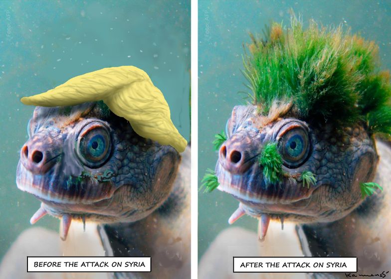 donnies_attack_on_syria__marian_kamensky.jpg