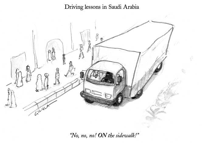 driving_lessons_in_saudi_arabia__moshe_gilula.jpg