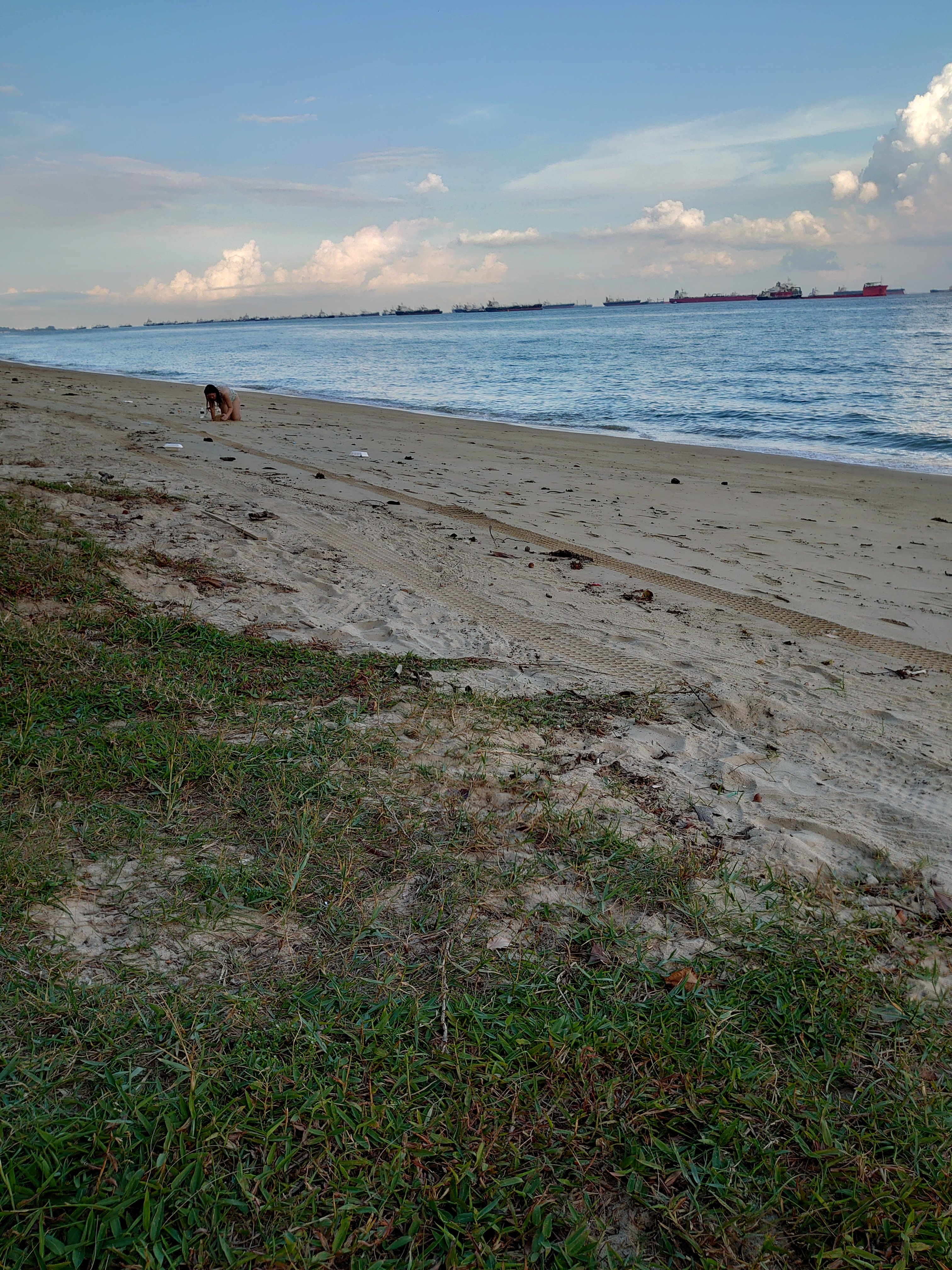 DSC_0534.JPG
